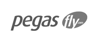 Logo for the company 'Pegas Fly'.